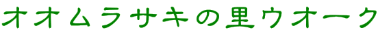 IITL̗EI[N